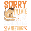 Sorry I'm late.