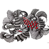 Black White Red Pattern