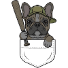 Bulldog baseball in pocket