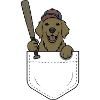 Baseball Puppy in Pocket