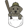 Pocket Player Dog Baseball