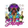 Official Schlager Party Crew