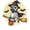 Simpatico Zebra Witch Halloween Zucca Luna Piena