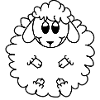 Merino sheep