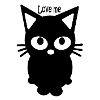 Kitten