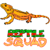 Reptile Squad Bearded Dragon Fun Design