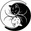 Yin-Yang Chats Noir Blanc Symbole d’Harmonie