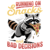 Funny Raccoon