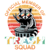 Funny Raccoon
