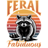Funny Raccoon