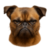 Grim Pug Head Illustration