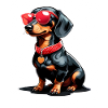 Cool dachshund with sunglasses