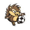 Hedgehog Soccer Soccer