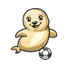 Seehund Robbe Fußball