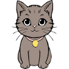 Katze Kätzchen Katzenshirt Geschenk