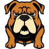 funny bulldogs t-shirt gift