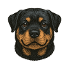 Cute Rottweiler Puppy – Dog Love Shirt