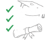 Abschlussbanner Bachelor Master Dr
