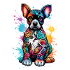Kunterbunter Hund mit Farbspritzer
