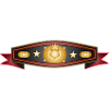 Radiant Box Belt – Champion Belt Design