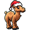 Kamel Weihnachten