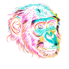 Neonaffen-Porträt Farbexplosion