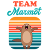 Marmot Team Retro Sun