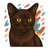 Burma-Katze mit buntem Hintergrund