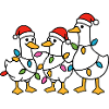 Festive Duck Trio Santa Lights
