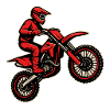 Rotes Motocross mit Fahrer