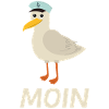 Moin Möwe Norddeutschland Vogelfreun
