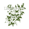 Humanity Equality Let Roots Grow