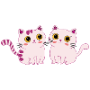 cats cute