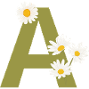 Letter to Green Daisies