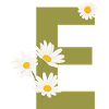 Grüne Gänseblümchen Brief