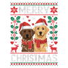 Labrador - Golden Retriever Noël