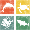 Marine Animals Ocean Dolphin Turtle Octopus