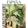 Palma Club Tropic 