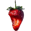 Fraise Erdbeere