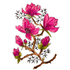 Magenta Magnolia Flower Magic