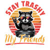 Funny Raccoon