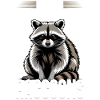 Funny Raccoon