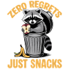 Funny Raccoon