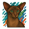 Oriental Shorthair Cat Illustration