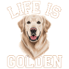 Livet er gyldent – Golden Retriever Motiv
