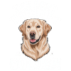 Best Therapy Golden Retriever