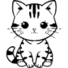 Cat Kitten Cat Shirt Gift