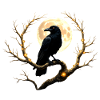 Night Crow Under Full Moon