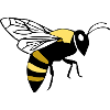 Bee Honey Bee Beekeeper Gift