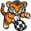 Tiger Football